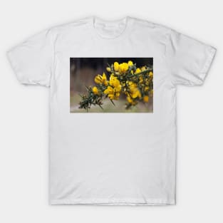 Gorse Flowers T-Shirt